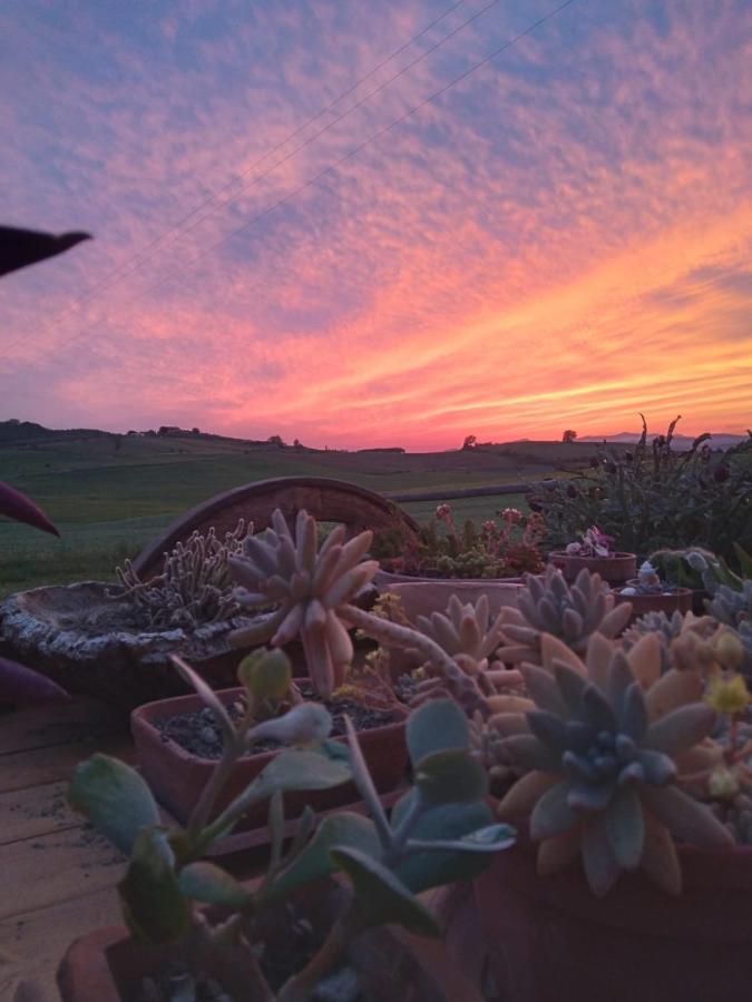 Agriturismo Enjoy Sunset Cinigiano Dış mekan fotoğraf