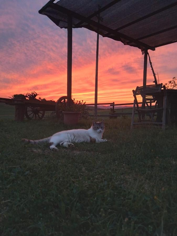 Agriturismo Enjoy Sunset Cinigiano Dış mekan fotoğraf